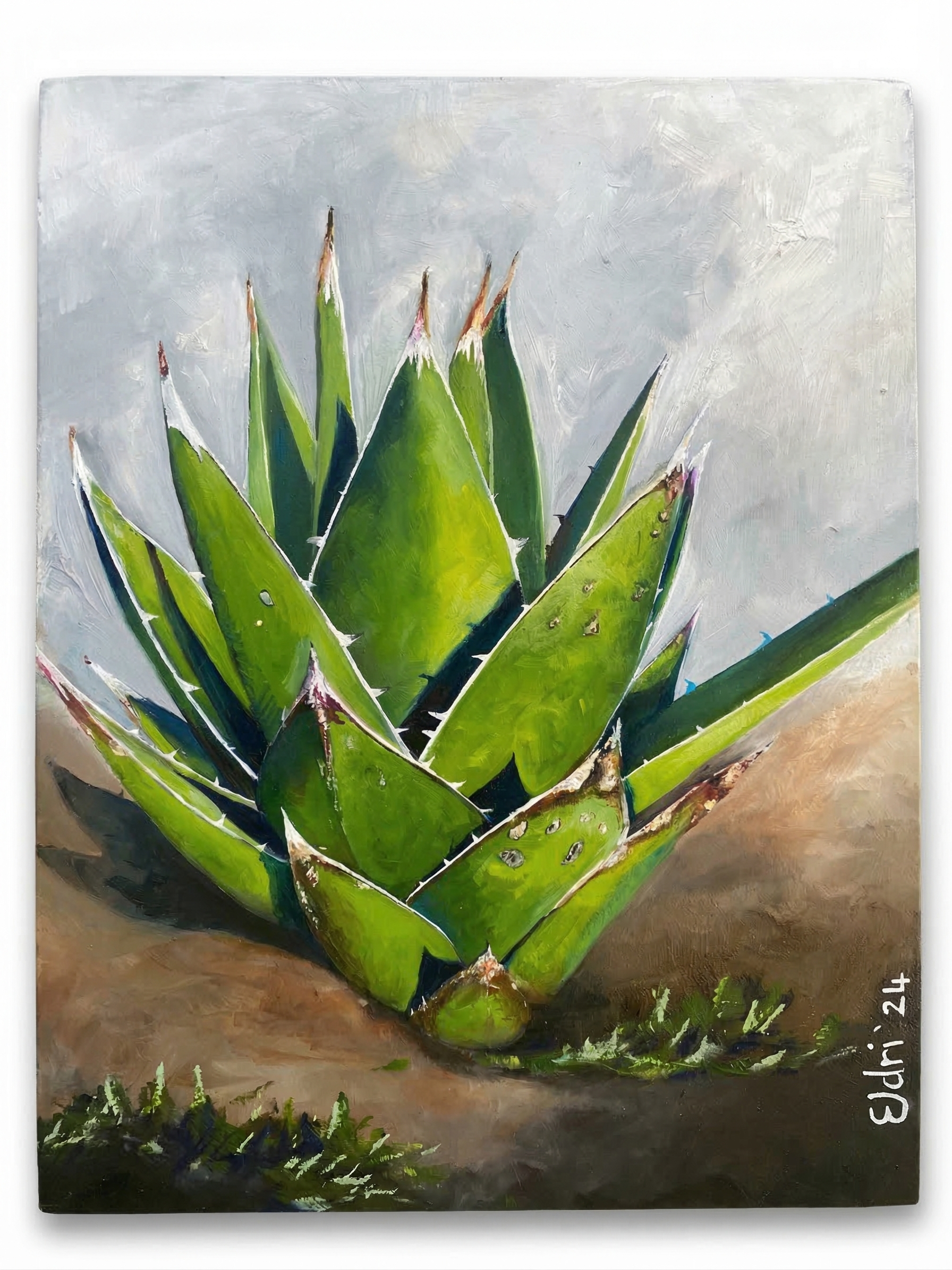 Agave Rosette - Oil on Canvas